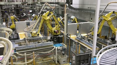 Linea robotizzata per sfoglie di lasagne